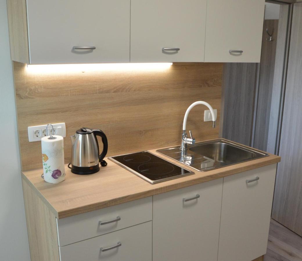 Apartma Vila Zigmund Церкниця Екстер'єр фото