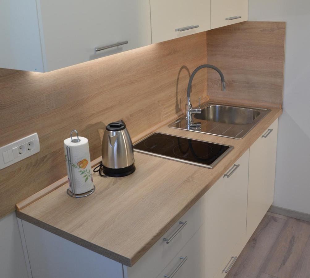 Apartma Vila Zigmund Церкниця Екстер'єр фото